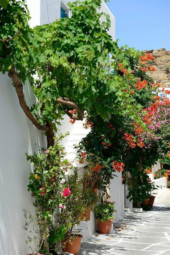 Nazos Hotel
